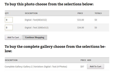 buy-complete-gallery-interface-screenshot
