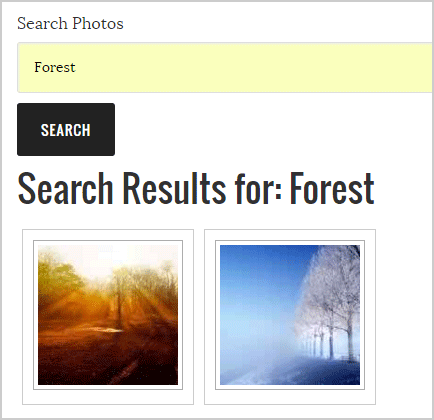 photo-search-result-example